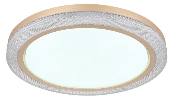Globo 41372-24 - LED RGBW Stmívatelné stropní svítidlo BOLLY LED/20W/230V + DO