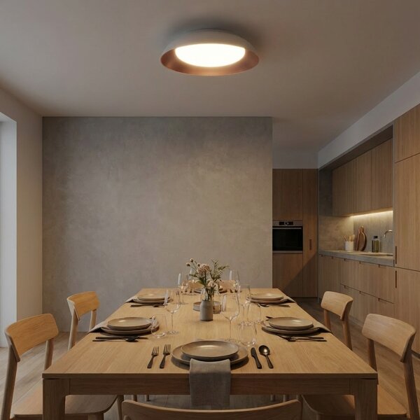 Brilagi -LED Stmívatelné svítidlo ALVA LED/48W/230V 3000-6500K pr. 51 cm bílá+DO
