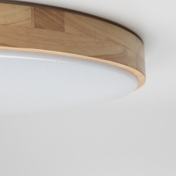 Brilagi - LED Stmívatelné stropní svítidlo PINE LED/24W/230V + dálkové ovládání