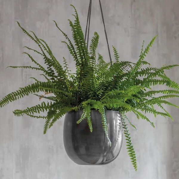 Závěsný obal na květiny Farringdon ⌀ 20 cm