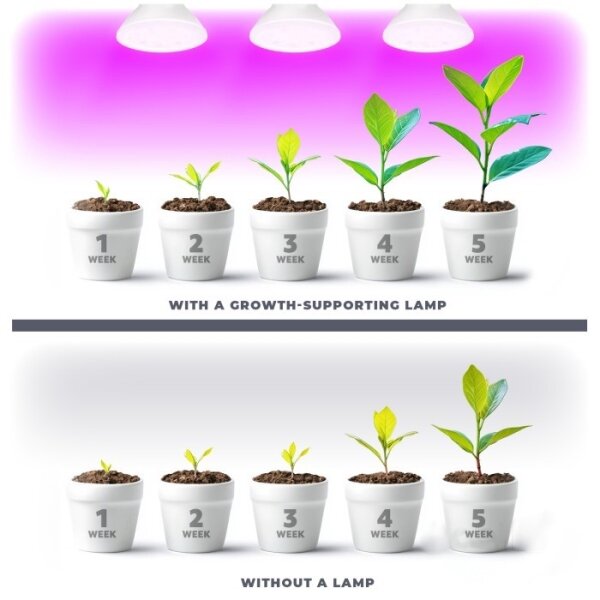 LED Žárovka pro růst rostlin PLANTY E27/7W/230V 1200K bílá