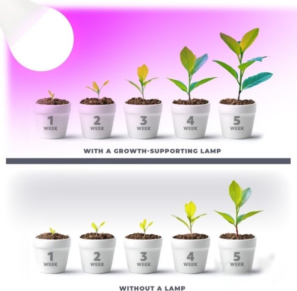 LED Žárovka pro růst rostlin PLANTY E27/11W/230V 1200K bílá