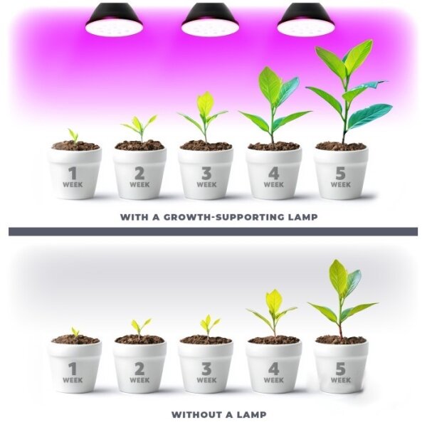 LED Žárovka pro růst rostlin PLANTY E27/7W/230V 1200K černá