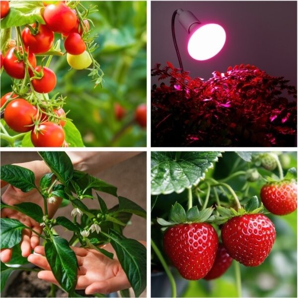 Flexibilní stolní lampa s klipem PLANTY 1xE27/30W/230V bílá