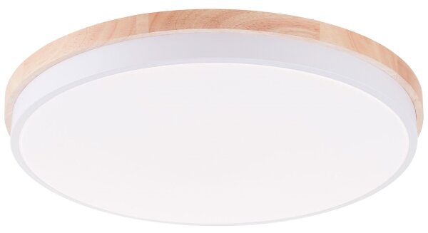 Brilliant - LED Stm stropní svítidlo BAARLO LED/36W/230V pr. 50 cm bílá + DO
