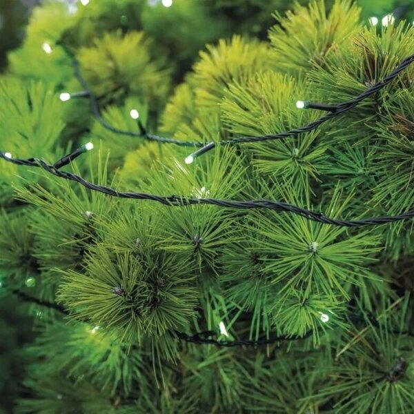 LED Venkovní vánoční řetěz 100xLED/10m IP44 zelená