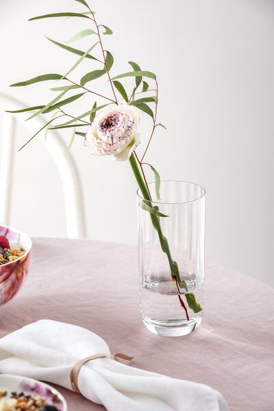 Sklenice a skleničky Rose Garden vysoké 450 ml 4 ks