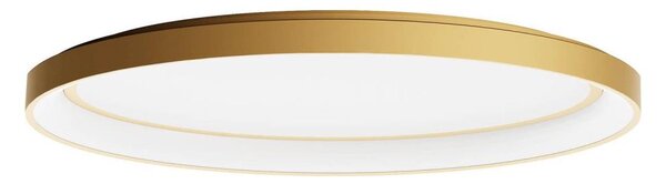Redo 01-3807 - LED Stmívatelné stropní svítidlo NOBU LED/60W/230V zlatá