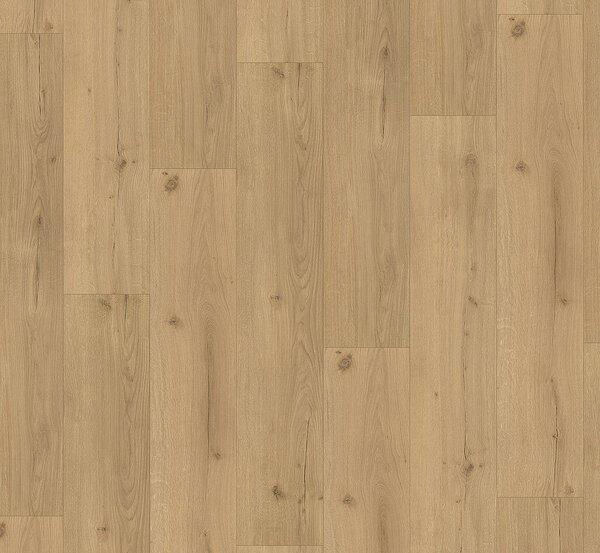 PARADOR Basic 5.3 SPC Dub infinity přírodní svěží struktura 1744607 - 2.18 m2