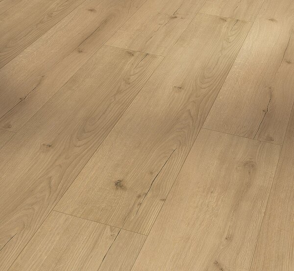 PARADOR Basic 5.3 SPC Dub infinity přírodní svěží struktura 1744607 - 2.18 m2
