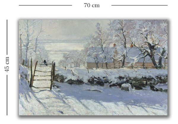 ASIR Obraz na plátně Claude Monet – Straka