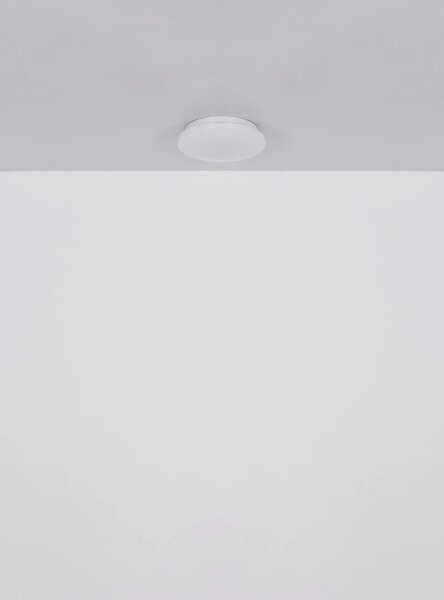 Globo 41282 - LED Stropní svítidlo FLARX LED/8W/230V 4000K pr. 55 cm