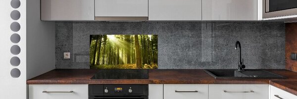 Dekorační panel sklo Sosnový les pksh-10017097