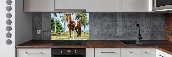 Dekorační panel sklo Strakatý kůň pksh-100317732