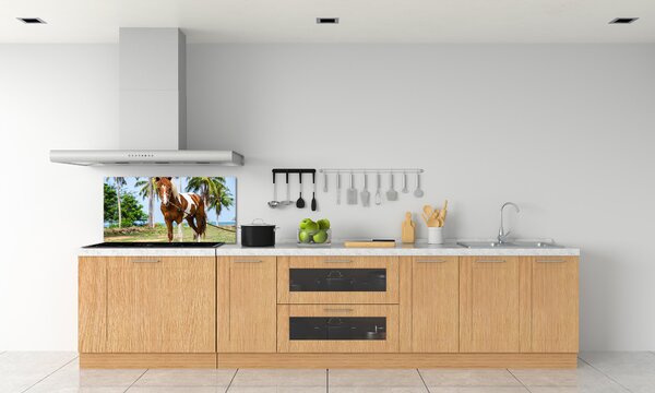 Dekorační panel sklo Strakatý kůň pksh-100317732