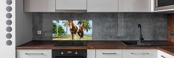 Dekorační panel sklo Strakatý kůň pksh-100317732