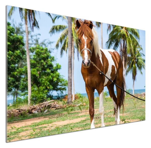 Dekorační panel sklo Strakatý kůň pksh-100317732