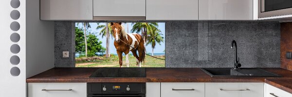 Dekorační panel sklo Strakatý kůň pksh-100317732