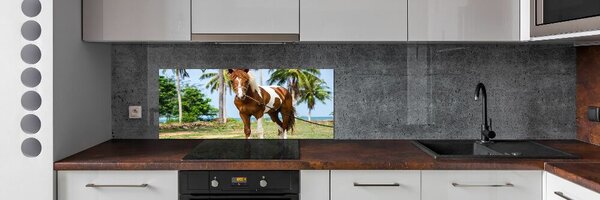 Dekorační panel sklo Strakatý kůň pksh-100317732