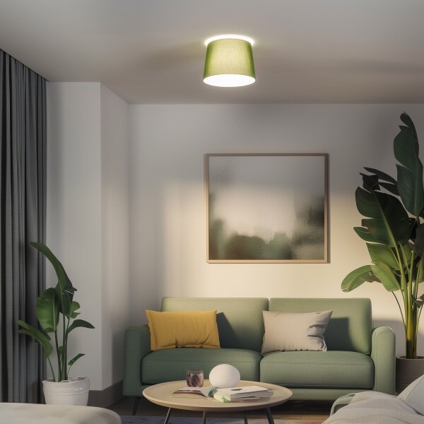 Brilagi - LED Přisazený lustr CERIA 1xE27/40W/230V pr. 30 cm zelená
