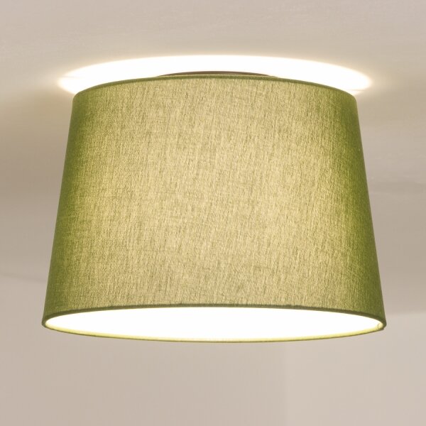 Brilagi - LED Přisazený lustr CERIA 1xE27/40W/230V pr. 30 cm zelená