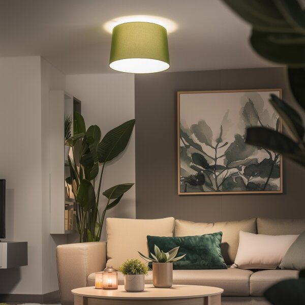 Brilagi - LED Přisazený lustr CERIA 1xE27/40W/230V pr. 45 cm zelená