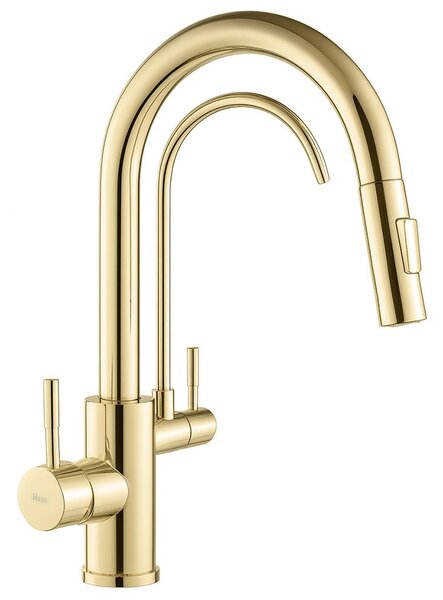 Kuchyňská baterie Rea Eco Fresh GOLD