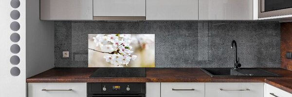 Dekorační panel sklo Květy višně pksh-100965392