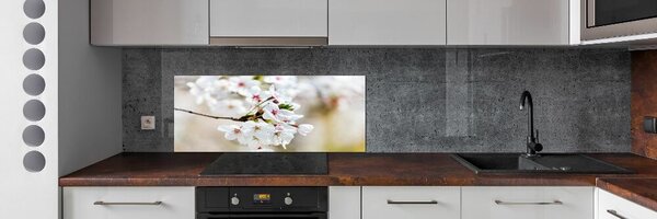 Dekorační panel sklo Květy višně pksh-100965392