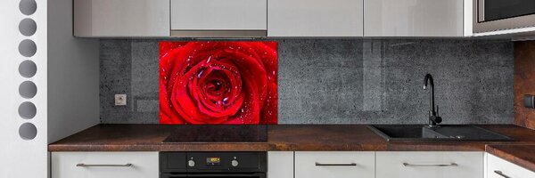 Dekorační panel sklo Květ růže pksh-100979783