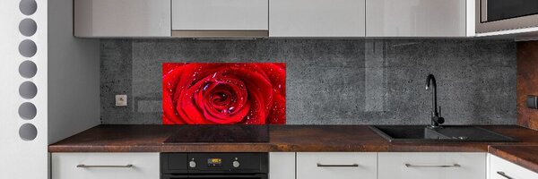 Dekorační panel sklo Květ růže pksh-100979783