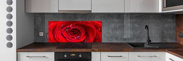 Dekorační panel sklo Květ růže pksh-100979783
