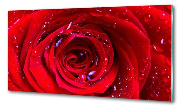 Dekorační panel sklo Květ růže pksh-100979783