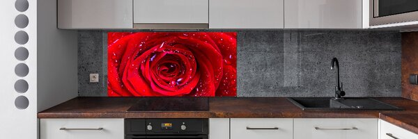 Dekorační panel sklo Květ růže pksh-100979783