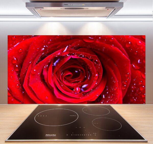 Dekorační panel sklo Květ růže pksh-100979783