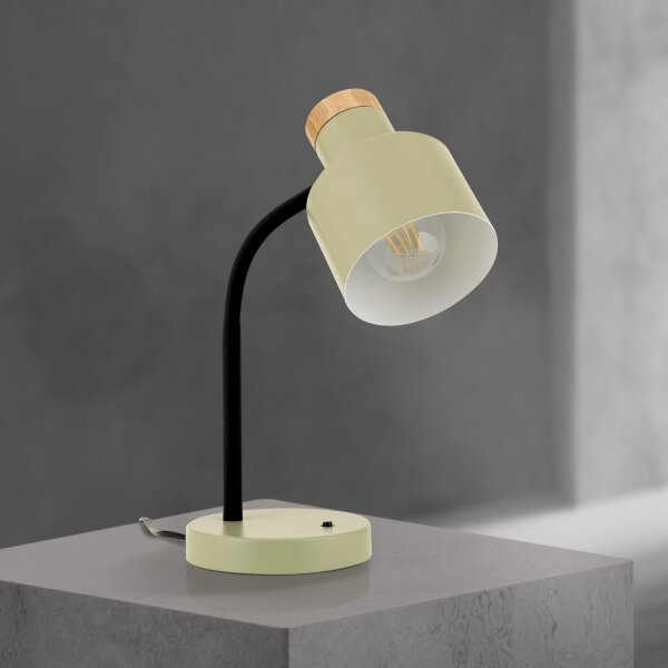 Orion - Stolní lampa GILI 1xE27/40W/230V zelená