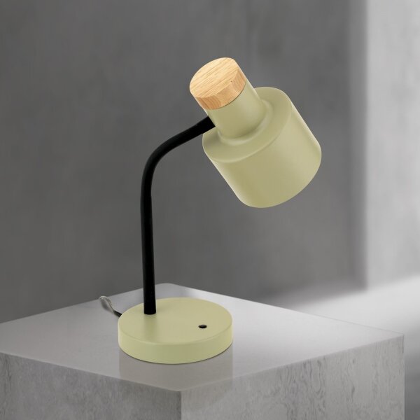 Orion - Stolní lampa GILI 1xE27/40W/230V zelená