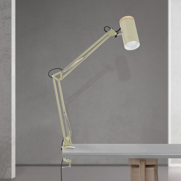 Orion - Stolní lampa s klipem GILI 1xE27/40W/230V zelená