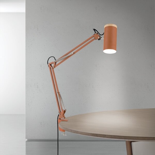 Orion - Stolní lampa s klipem GILI 1xE27/40W/230V cihlová