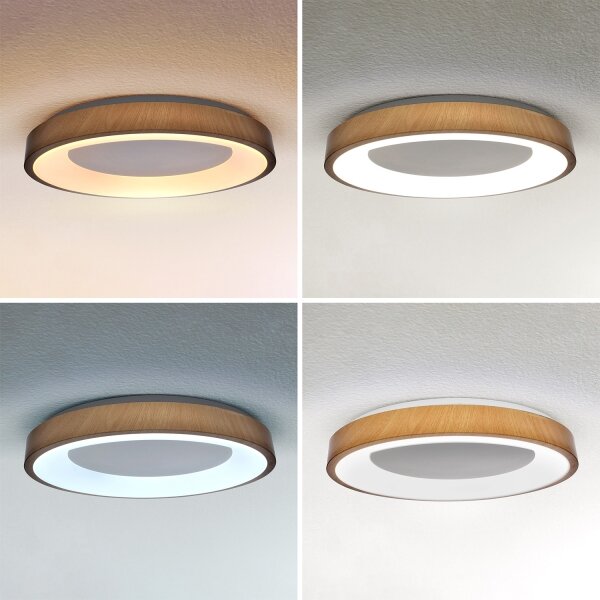 Brilagi - LED Stmívatel. svítidlo DORIA LED/60W/230V 3000-6500K pr. 60 cm + DO