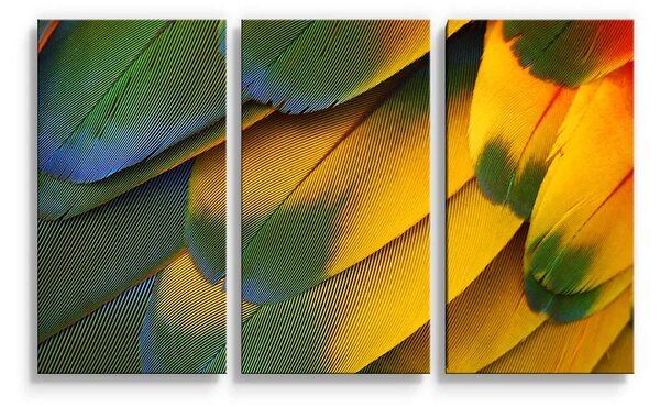 Sablio Obraz - 3-dílný Barevné peří - 120x80 cm