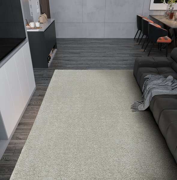 Kobercový ráj Kusový luxusní koberec Shaggy Silky 72 Šedý Stříbrný Rozměr: 100x150 cm