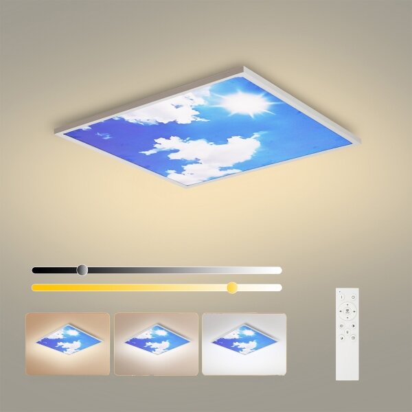 Brilagi-LED Stmívatelné svítidlo SLIMFRAME SKY LED/58W/230V 60x60 cm stříbr/modrá+DO