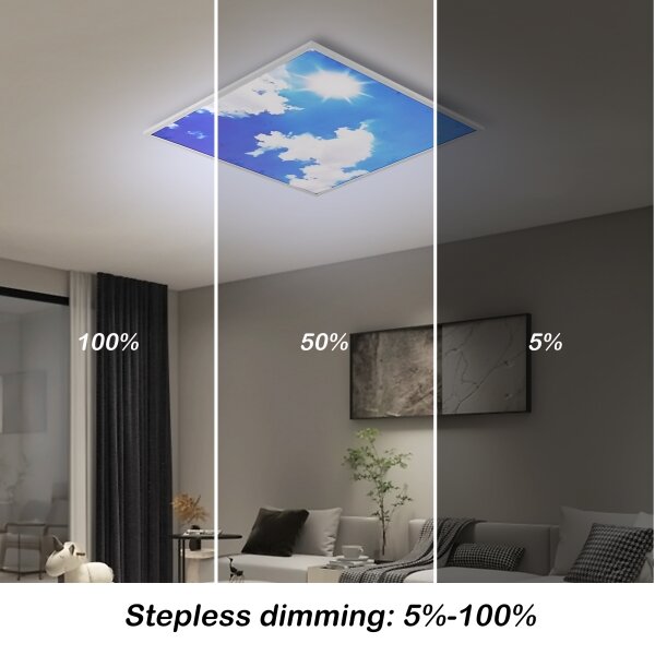 Brilagi-LED Stmívatelné svítidlo SLIMFRAME SKY LED/58W/230V 60x60 cm stříbr/modrá+DO