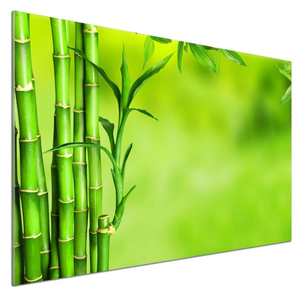 Skleněný panel do kuchyně Bambus pksh-101574587