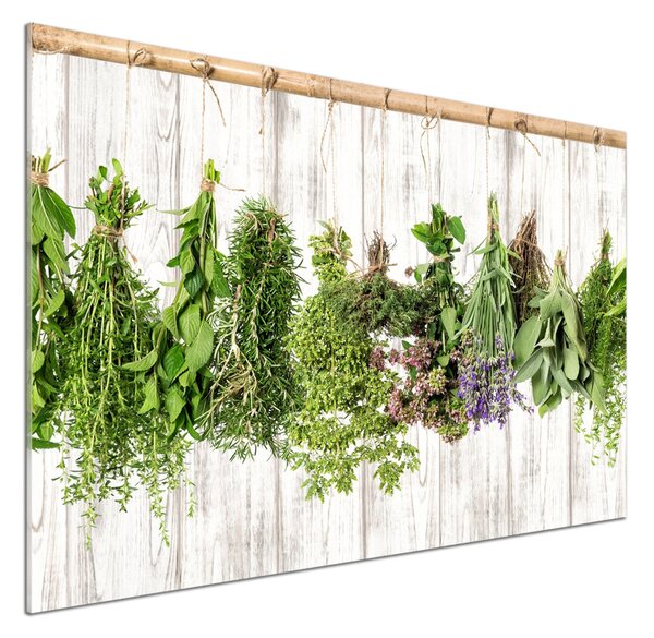 Panel do kuchyně Bylina na provázku pksh-101578171