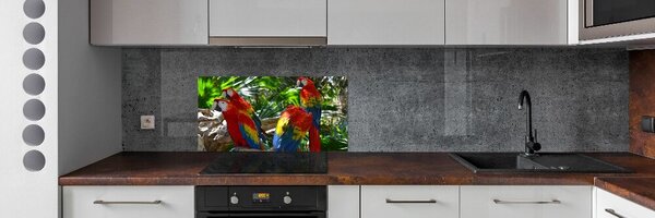 Dekorační panel sklo Papoušci Ara pksh-101702658