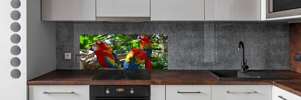 Dekorační panel sklo Papoušci Ara pksh-101702658