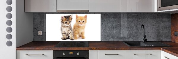 Panel do kuchyně Hnědá a červená kočka pksh-101681955
