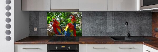 Dekorační panel sklo Papoušci Ara pksh-101702658